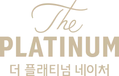 브랜드 로고
